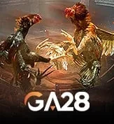 GA28