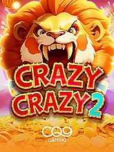 Crazy Crazy 2